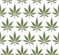 Обои Paper & Ink Mulberry Tree арт-TJ41304 — фото 1, Обои