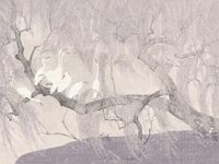 Фрески Affresco Wallpaper part 3 Forest арт-AF2325-COL5 — фото 1, Фрески