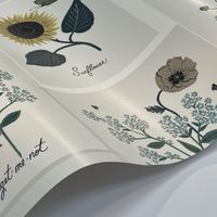 Обои York Rifle Paper Co. Second Edition арт-RP7335 — фото 2, Обои