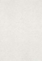 Товар: Обои Thibaut Colony арт-T10211 - фото 1 Обои Thibaut Colony арт-T10211 — фото 1, Обои