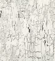 Обои Black Edition Kansai арт-W907-01 — фото 1, Обои