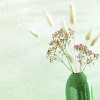 Обои Caselio Flower Power Винил на флизелине (0,53*10,05) Серый, Однотонные/Орнамент арт-101847028 — фото 2, Обои для стен