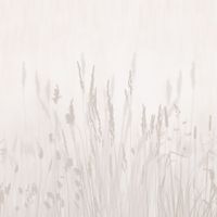 Фрески Affresco Trend Art арт-ZK420-COL4 — фото 1, Фрески