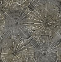 Обои Carl Robinson Edition 15 Sea Glass арт-CR76003 — фото 1, Обои