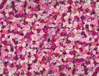 Обои Loymina Illusion арт-DF-010 — фото 1, Обои