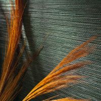 Обои Casamance Golfe Du Bengale арт-75971936 — фото 4, Обои