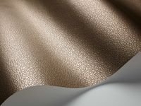 Обои Cole & Son Curio арт-107-9044 — фото 2, Обои