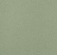 Обои Bernardo Bartalucci Legend Флизелин (1,06*10) Зеленый, Однотонные арт-5068-46 — фото 1, Обои
