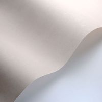 Обои Casadeco Stone 2 арт-80834141 — фото 2, Обои для стен