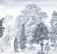 Обои Loymina Пейзаж vol. 2 арт-ART14-006 — фото 1, Обои