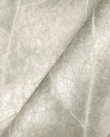 Обои York Candice Olson Natural Discovery арт-NT6142 — фото 2, Обои