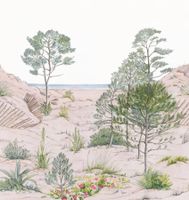 Обои Caselio Reliefs арт-106377038 — фото 1, Обои для стен