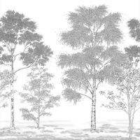 Обои Caselio Balade арт-106169006 — фото 1, Обои для стен