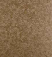 Обои Clarke & Clarke Reflection арт-W0056-02 — фото 1, Обои