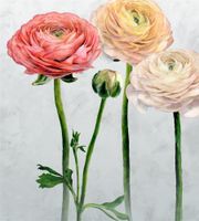 Обои Designers Guild Foscari Fresco арт-PDG1100-01 — фото 1, Обои