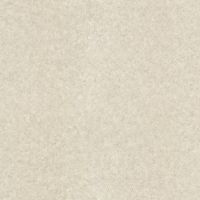 Товар: Обои Emiliana Parati Materica 1 Винил на флизелине (1,06*10,05) Бежевый, Штукатурка арт-73154 - фото 1 Обои Emiliana Parati Materica 1 Винил на флизелине (1,06*10,05) Бежевый, Штукатурка арт-73154 — фото 1, Обои