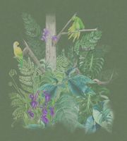 Товар: Обои Marburg Bombay 2 арт-30160 - фото 1 Обои Marburg Bombay 2 арт-30160 — фото 1, Обои для стен