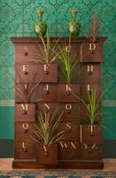 Обои Cole & Son Mariinsky Damask арт-108-4018 — фото 3, Обои