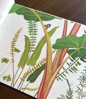 Товар: Обои Sanderson Arboretum арт-217211 - фото 2 Обои Sanderson Arboretum арт-217211 — фото 2, Обои