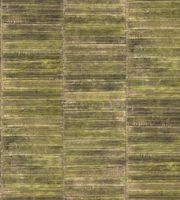 Обои Elitis Anguille Big Croco Legends арт-VP42421 — фото 1, Обои