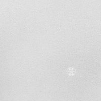 Обои Alessandro Allori Bodega арт-RTE2409-2 — фото 1, Обои для стен