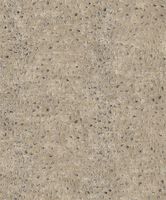 Обои Khroma Cabinet Of Curiosities арт-CAB801 — фото 1, Обои