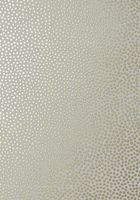 Обои Anna French Small Scale арт-AT79164 — фото 1, Обои