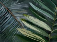 Фрески Wall Street Фрески арт-25704 — фото 1, Фрески