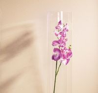 Обои Milassa Neo Classic арт-Neo5-012 — фото 4, Обои