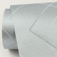 Товар: Обои Aura Scott Living арт-SP87345 - фото 2 Обои Aura Scott Living арт-SP87345 — фото 2, Обои