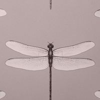 Обои Andrea Rossi Cavolli Винил на флизелине (1,06*10,05) Розовый, Насекомые арт-54426-4 — фото 1, Обои для стен