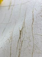 Обои Valentin Yudashkin Gold Edition 5 арт-86045 — фото 3, Обои