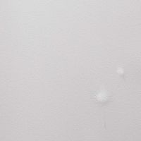 Товар: Обои Andrea Rossi Gavi Винил на флизелине (1,06*10) Бежевый/Белый, Листья/Цветы арт-54368-2 - фото 1 Обои Andrea Rossi Gavi Винил на флизелине (1,06*10) Бежевый/Белый, Листья/Цветы арт-54368-2 — фото 1, Обои