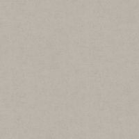 Обои AS Creation Accent Винил на флизелине (1,06*10,05) Коричневый, Штукатурка арт-36890-3 — фото 1, Обои