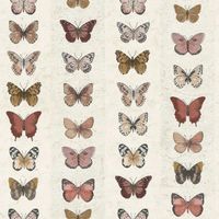 Обои Aura Organic Textures арт-G67992 — фото 1, Обои