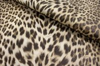 Обои Roberto Cavalli Home 9 арт-RC21041 — фото 3, Обои