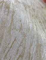 Обои Valentin Yudashkin Gold Edition 5 арт-86084 — фото 2, Обои