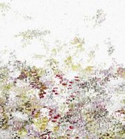 Обои Black Edition Desire by Jessica Zoob арт-W394-01 — фото 1, Обои