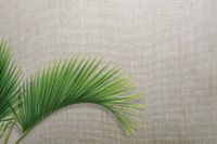 Обои Carl Robinson Edition 20 арт-CL50055 — фото 2, Обои