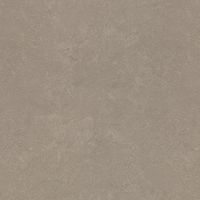 Обои Rasch Metal Spirit арт-977141 — фото 1, Обои