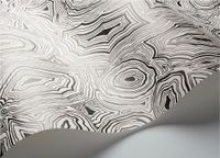 Товар: Обои Cole & Son Fornasetti Senza Tempo арт-114-17036 - фото 2 Обои Cole & Son Fornasetti Senza Tempo арт-114-17036 — фото 2, Обои