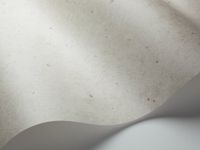 Обои Borastapeter Sense of Silence арт-6302 — фото 3, Обои