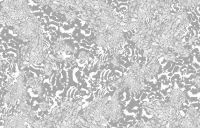 Обои Loymina Hypnose арт-F3101 — фото 1, Обои