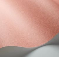 Обои Cole & Son Landscape Plains арт-106-5075 — фото 2, Обои