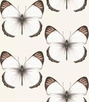 Обои Andrea Rossi Cheradi Винил на флизелине (1,06*10,05) Белый/Бежевый, Бабочки арт-54401-2 — фото 1, Обои для стен