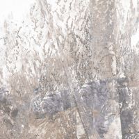 Обои Loymina Etude арт-ETD6-001 — фото 4, Обои