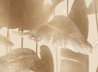 Фрески Applico Four арт-0058-Br1 — фото 2, Фрески