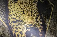 Обои Roberto Cavalli Home 8 арт-RC19120 — фото 3, Обои