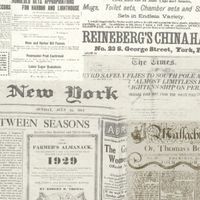 Обои Aura Handsome арт-FD21267 — фото 1, Обои