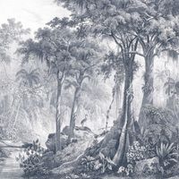 Обои Rasch Curiosity арт-543742 — фото 1, Обои